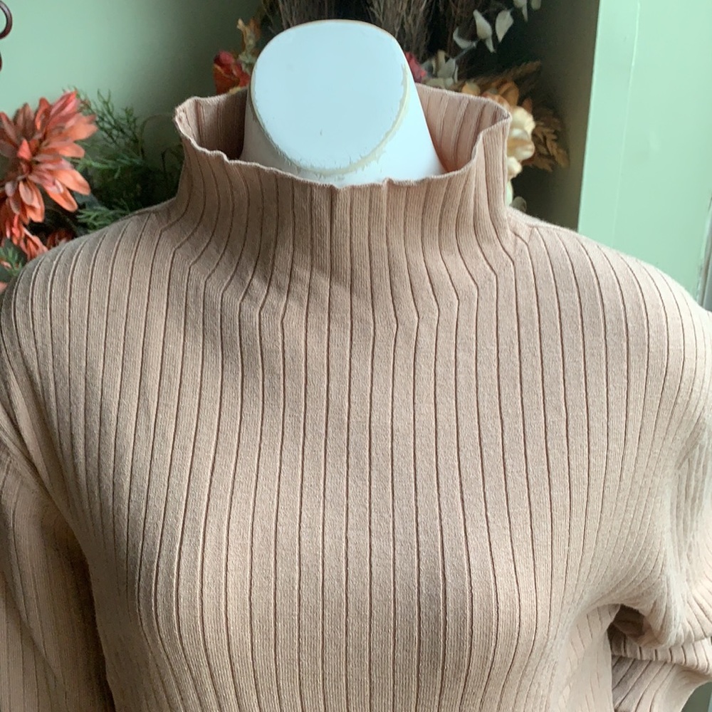 Loft Plus Stripped Ribbed Sweater - Picture 5 of 8